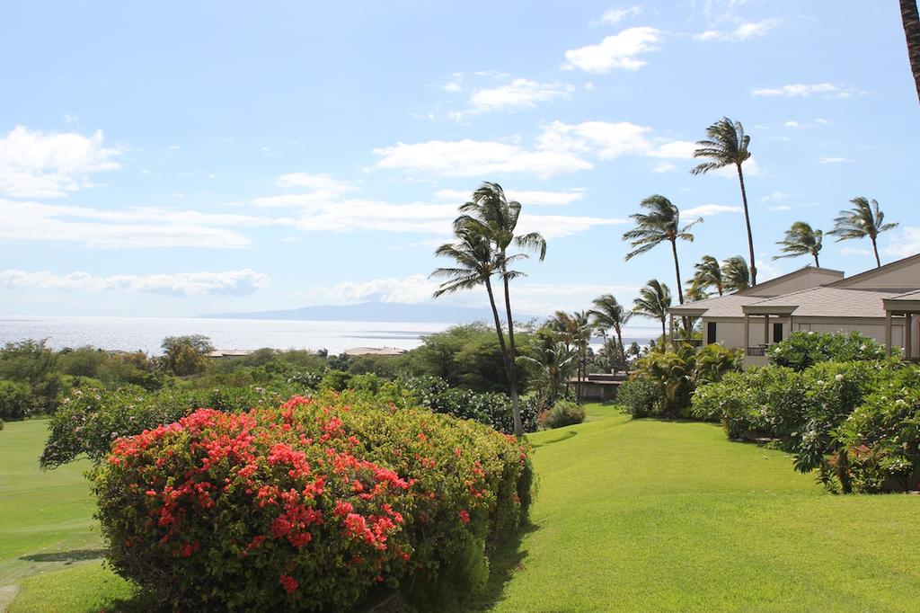 Beautiful shrubs, mature trees looking straight to the ocean