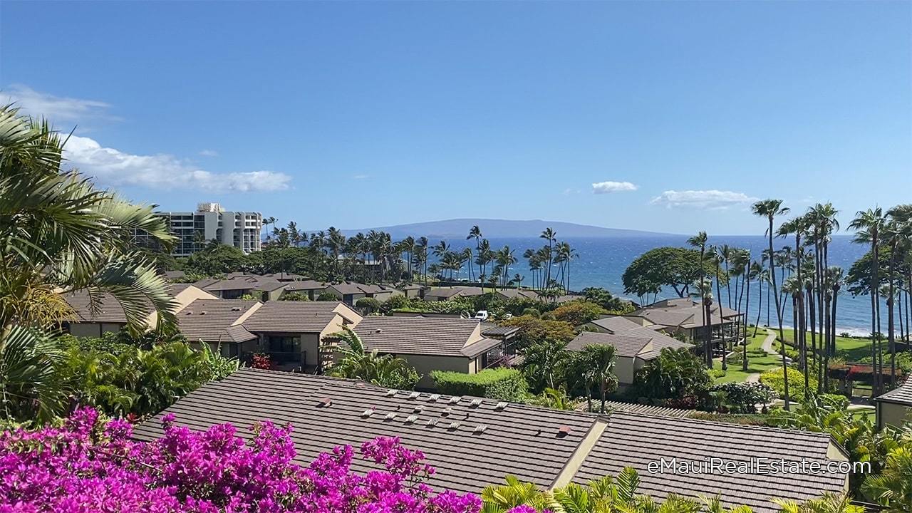 Ocean views from Wailea Elua are beautifully framed by mature palms and other lush landscaping
