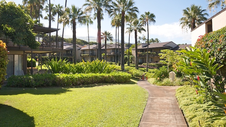 Eleven different floor plans to choose from at Wailea Elua Village
