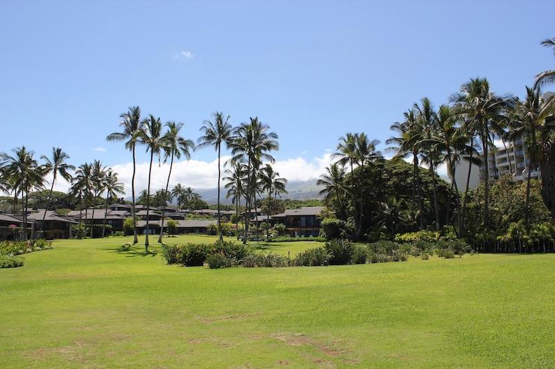 Nestled between the Shops at Wailea and the Renaissance Resort