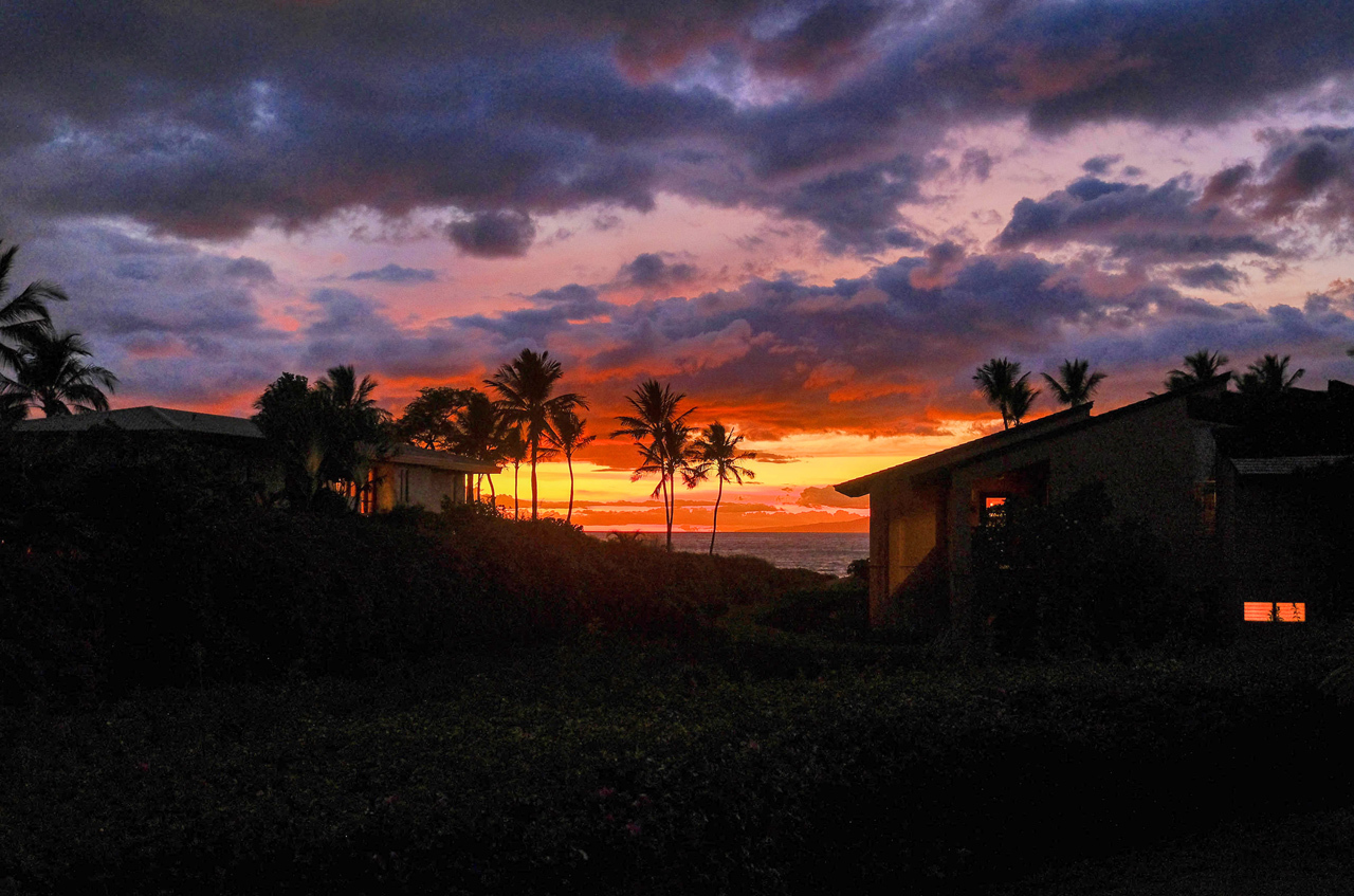 Ocean & sunset views: 